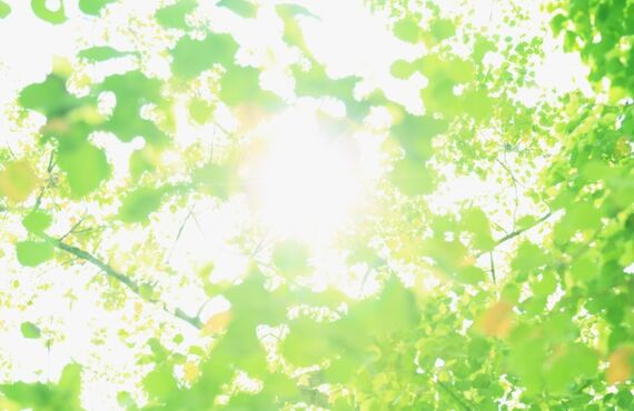 不眠などの自律神経の乱れは正しい睡眠で改善｜高松　カイロプラクティックmite